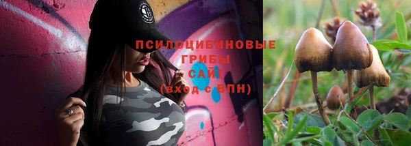 прущий лед Арсеньев