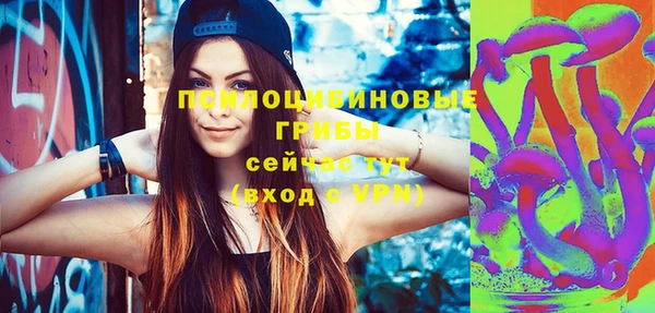 прущий лед Арсеньев