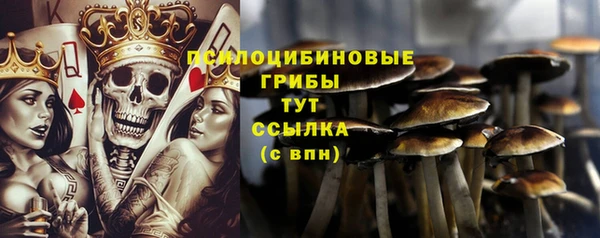 ALPHA PVP Аркадак