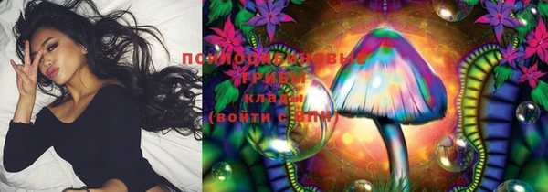 прущий лед Арсеньев