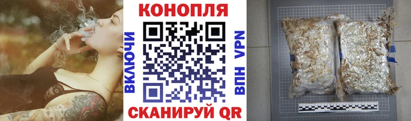 кракен зеркало Волгодонск Конопля ГИДРОПОН наркота